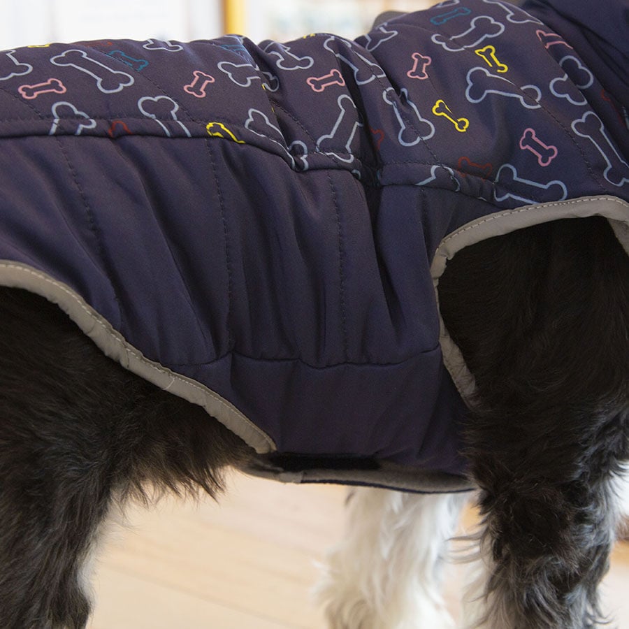 Outech Abrigo Azul con Estampado de Huesos para perros, , large indicador imagen numero 5